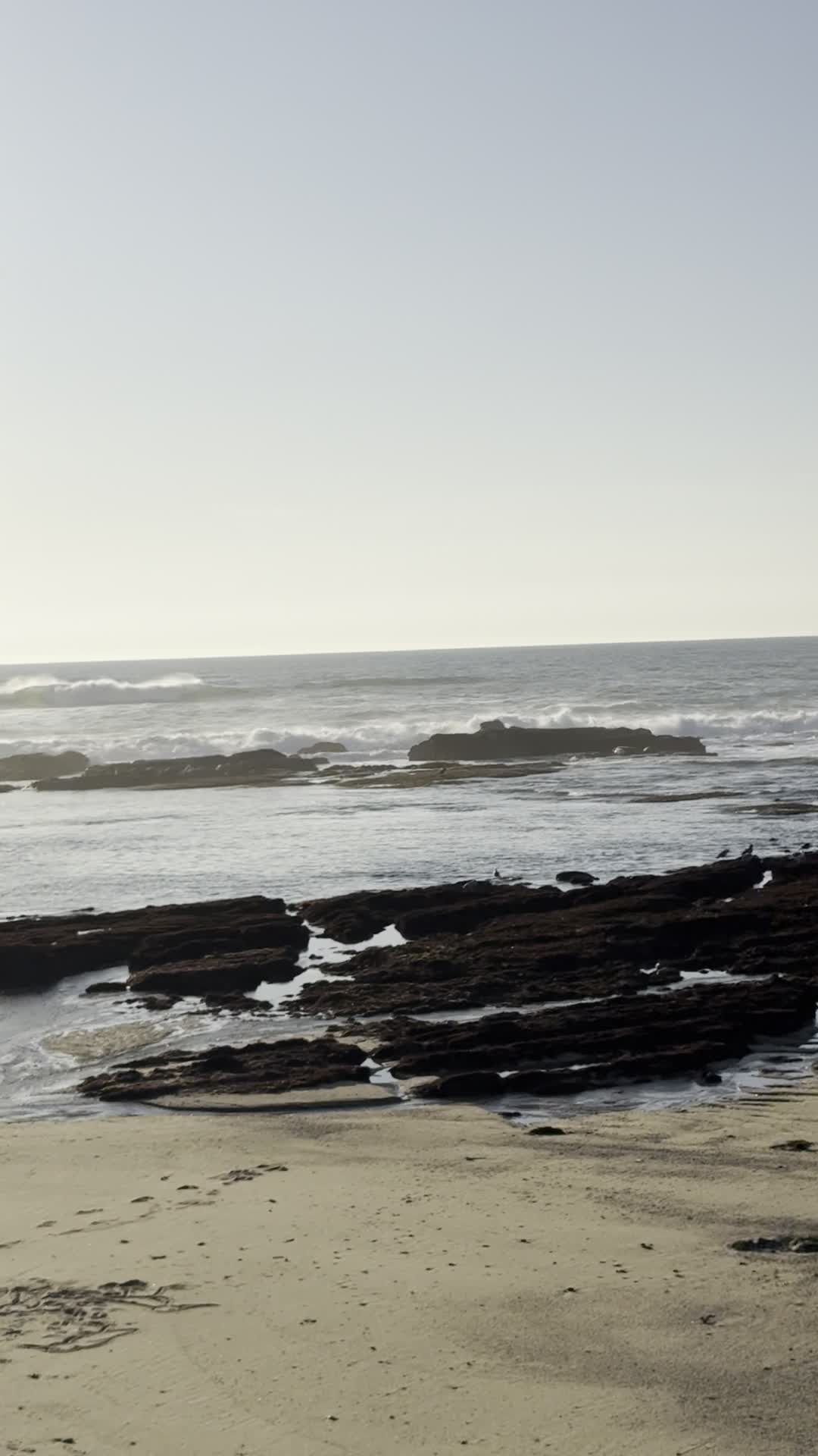 Video review of Moss Beach Distillery