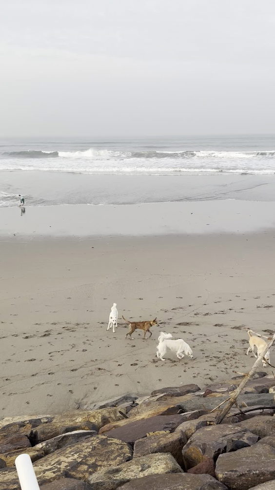 Pantai Batu Belig