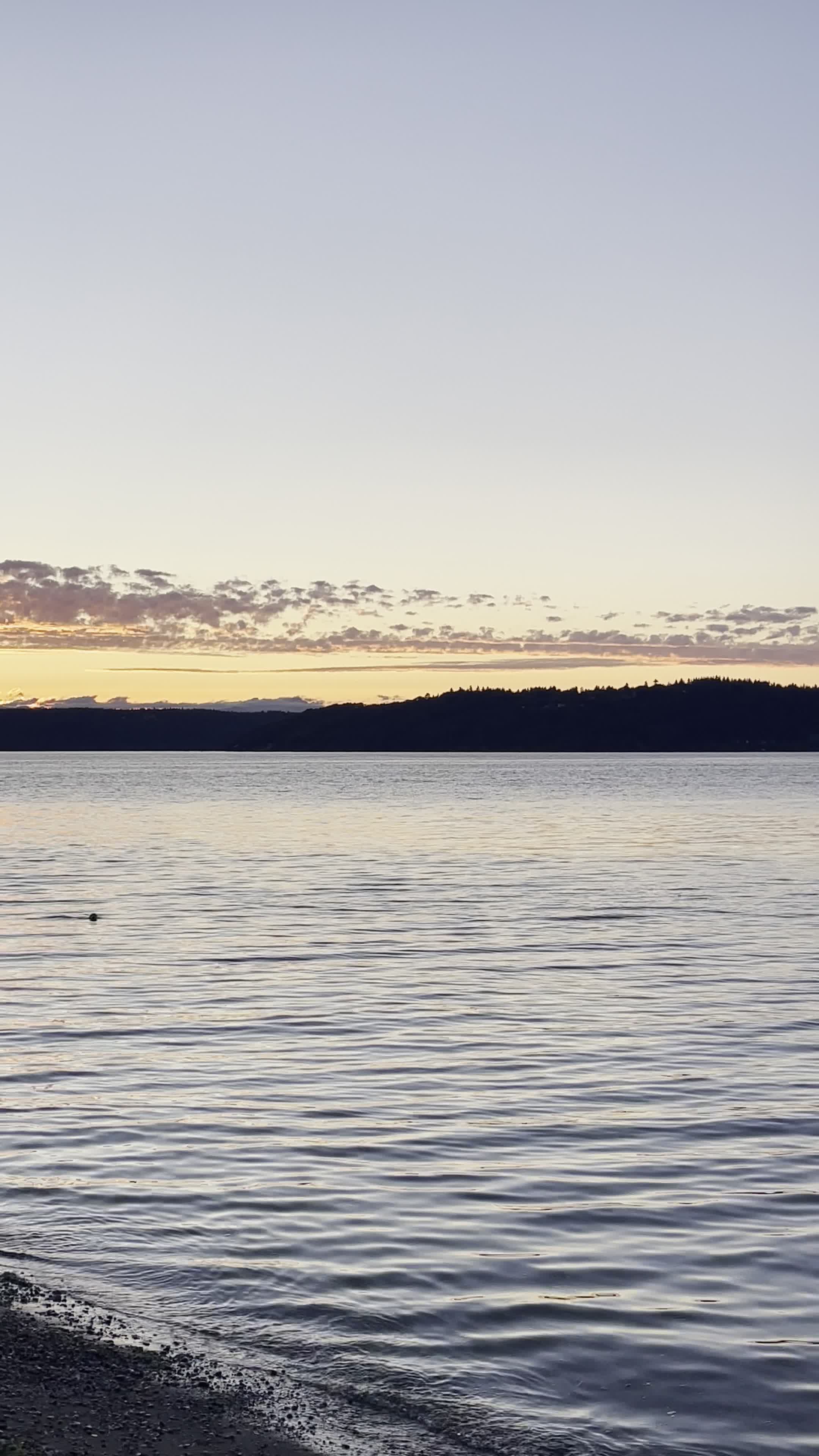 Dash Point Park & Pier