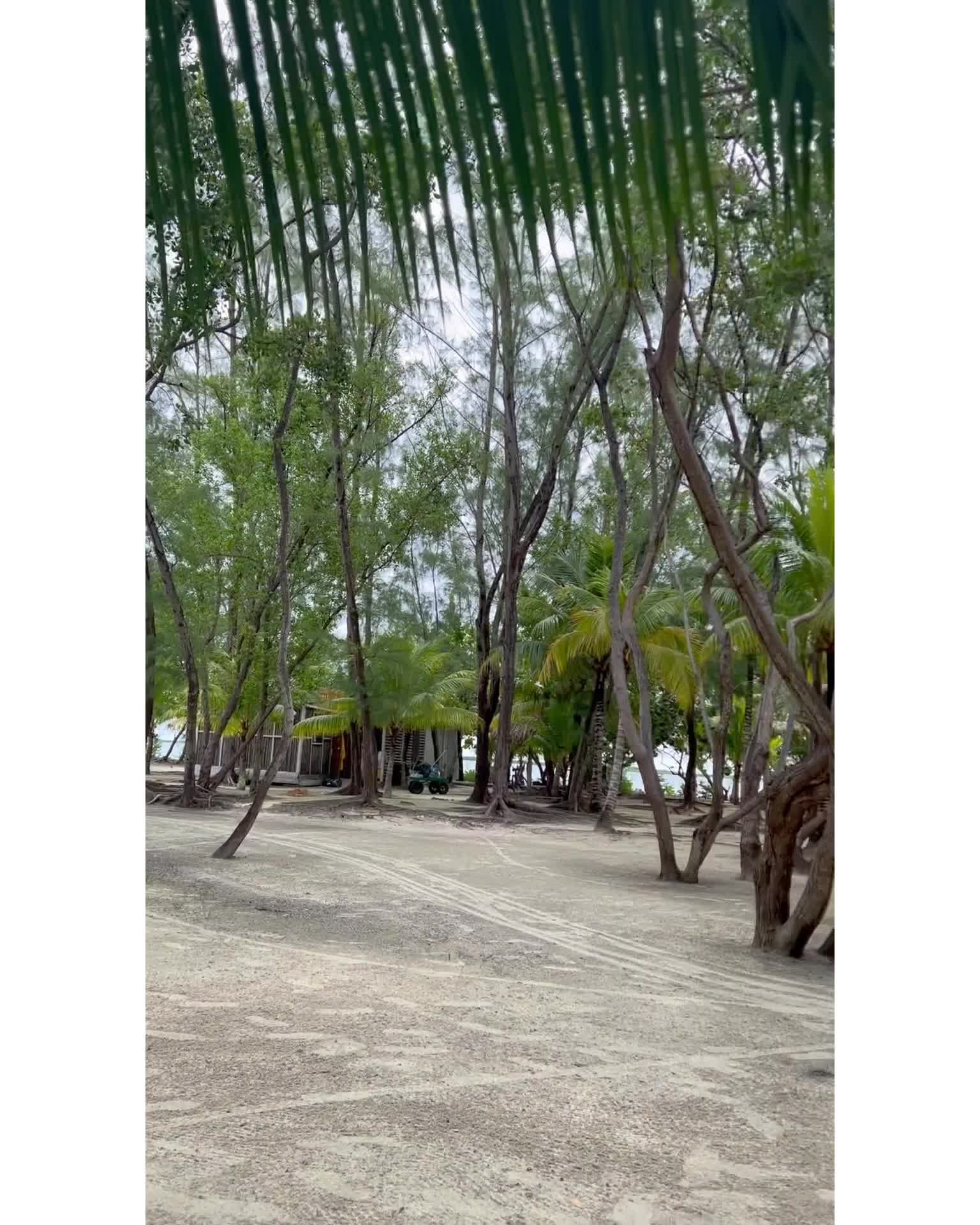 Thatch Caye Resort, a Muy'Ono Resort