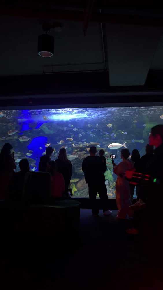 Ripley's Aquarium of Canada