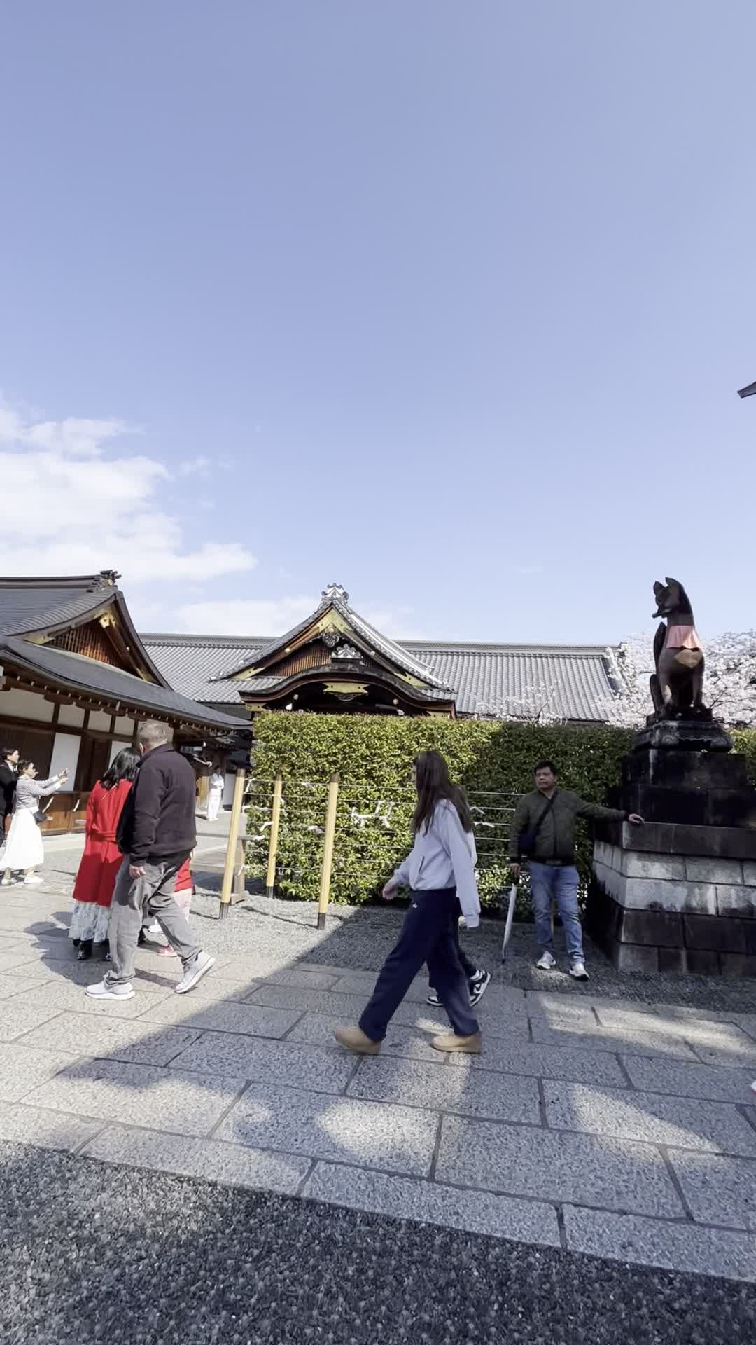 伏見稲荷大社 (Fushimi Inari Taisha)