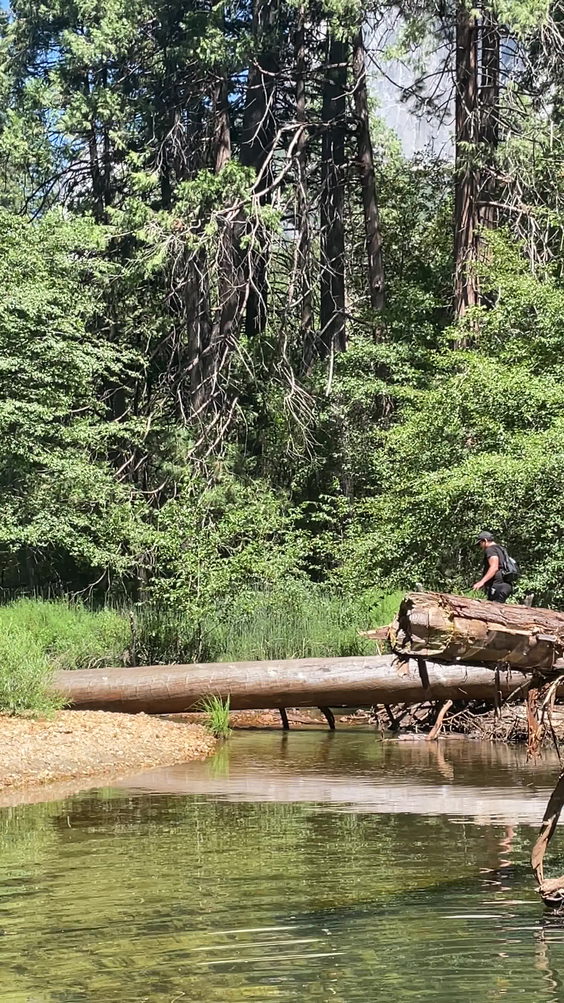 North Pines Campground
