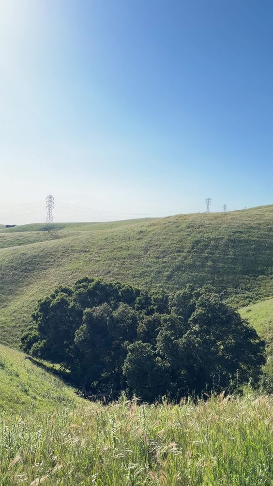 Vargas Plateau Regional Park