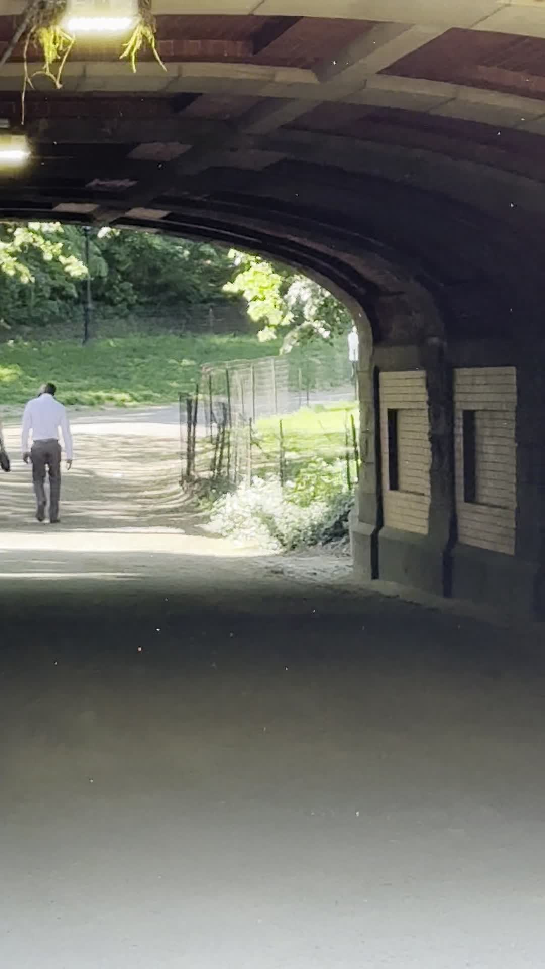 Video review of Central Park