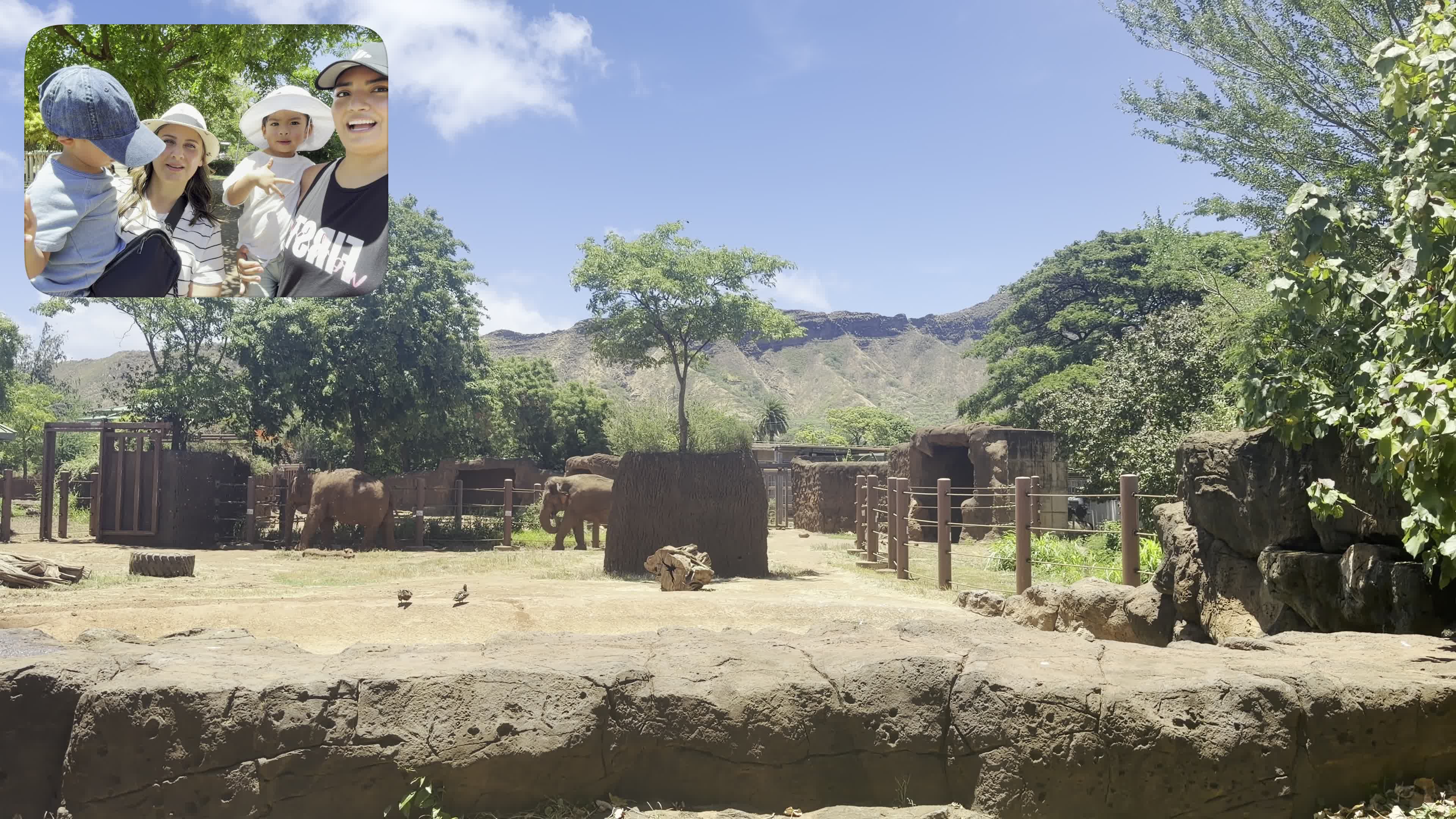 Honolulu Zoo