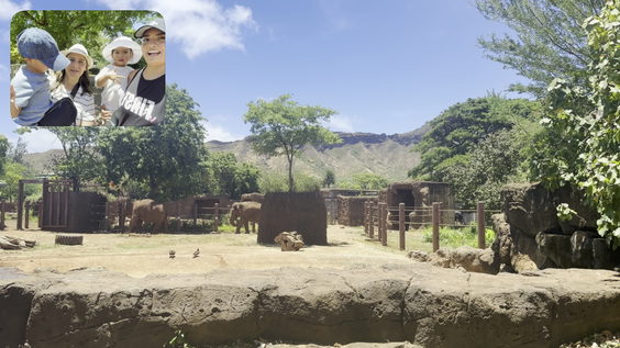 Honolulu Zoo