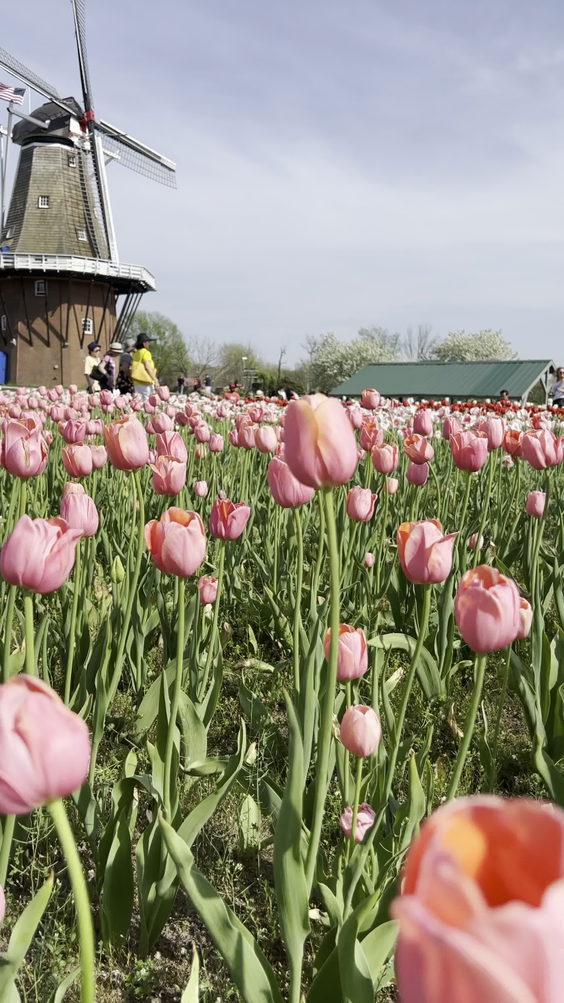 Windmill Island Garden