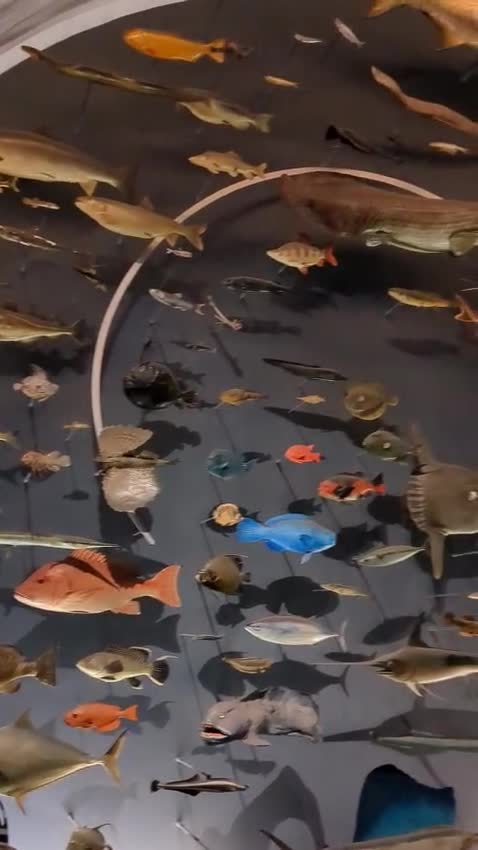 Video review of Rose Center for Earth and Space