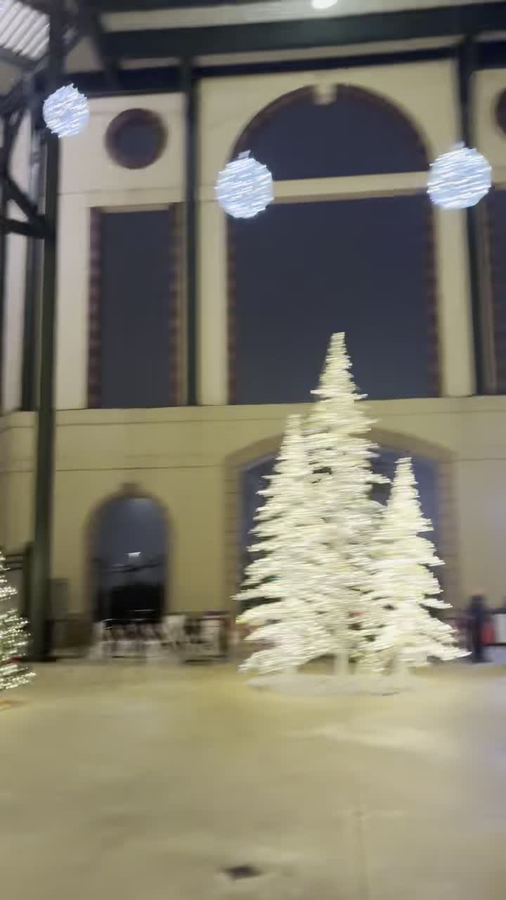 Video review of Section(s) Behind Home Plate