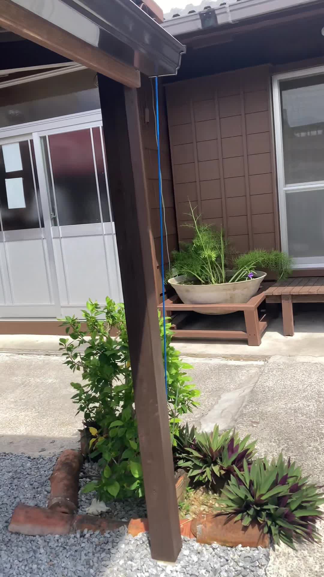 沖縄そば専門店まるち