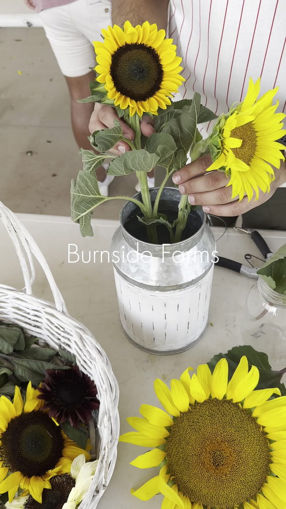 Burnside Farms Flower Fields