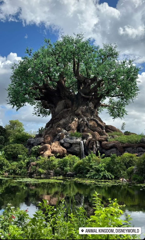 Disney's Animal Kingdom