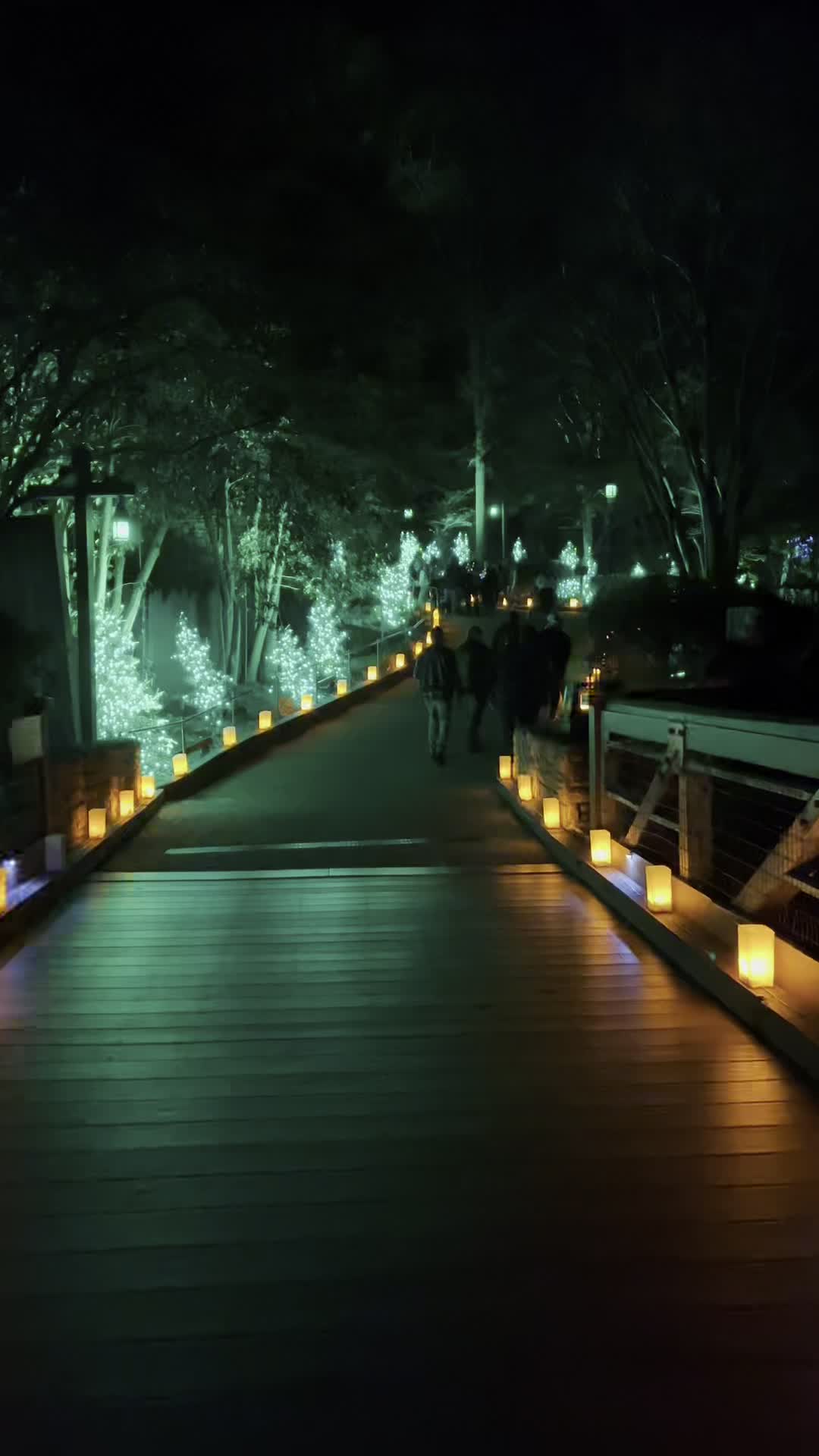 Busch Gardens Williamsburg