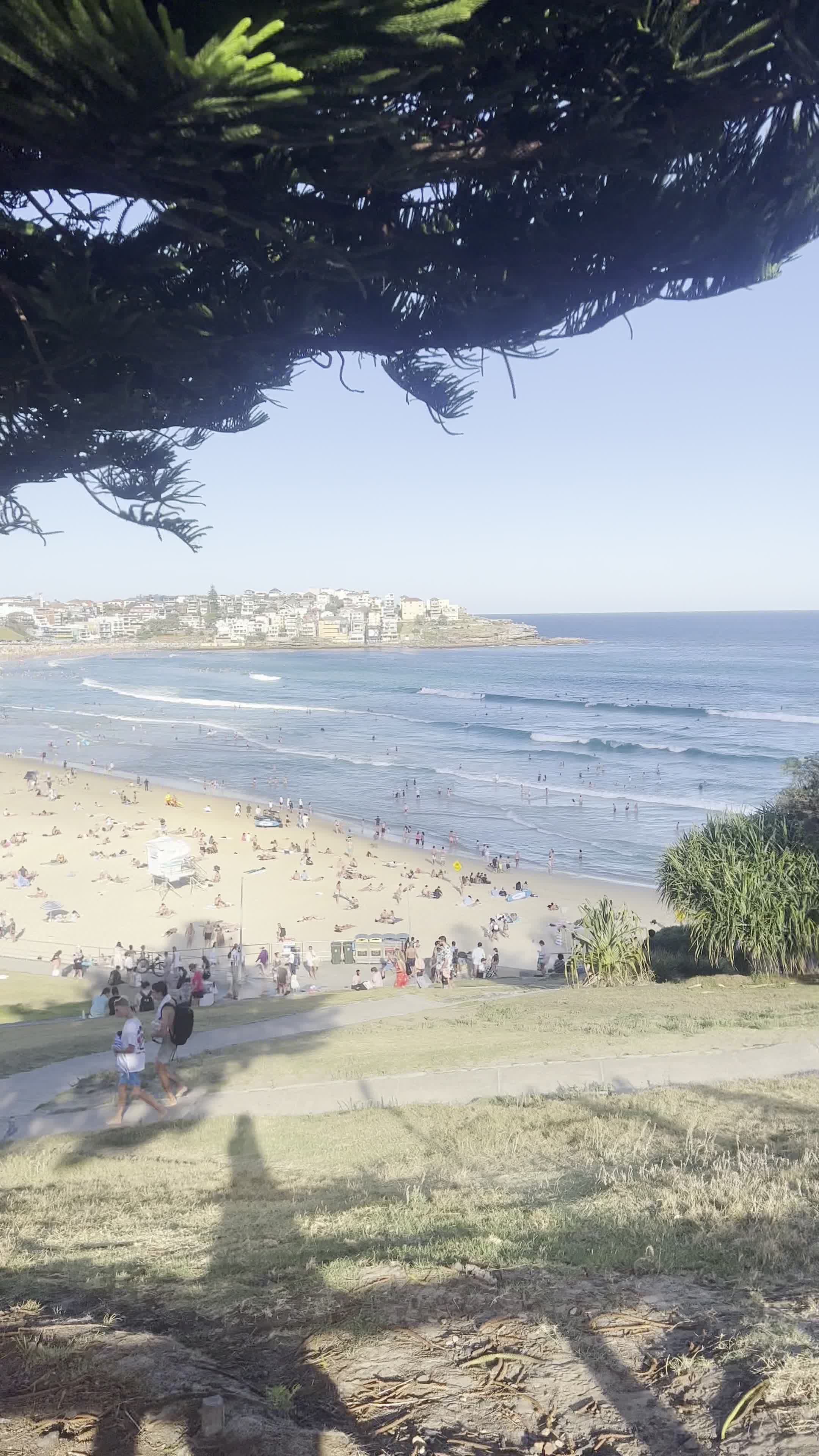 Bondi Beach