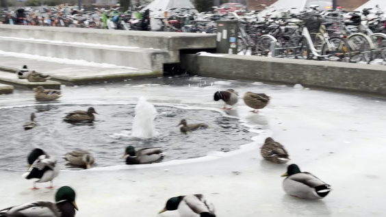 Kadeau København