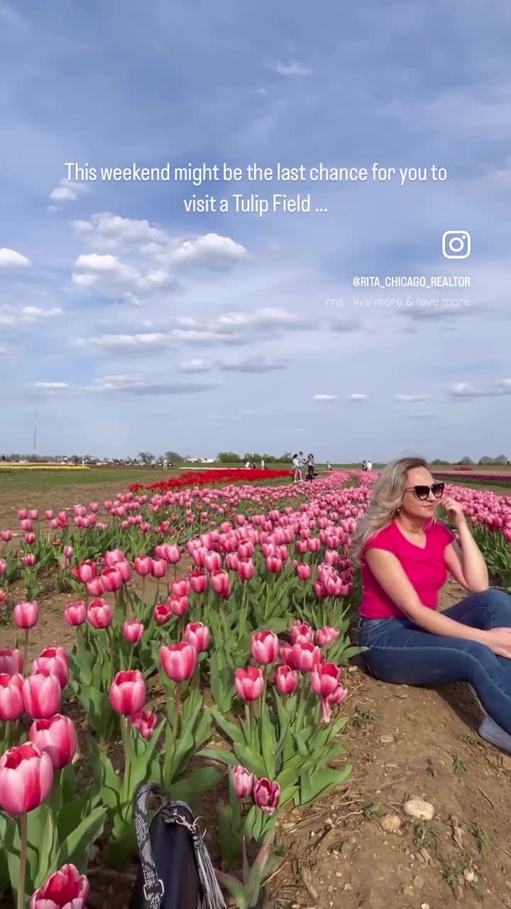 Richardson Adventure Farm