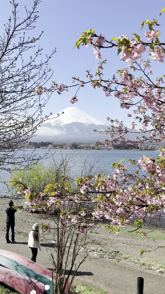 Lake Kawaguchiko
