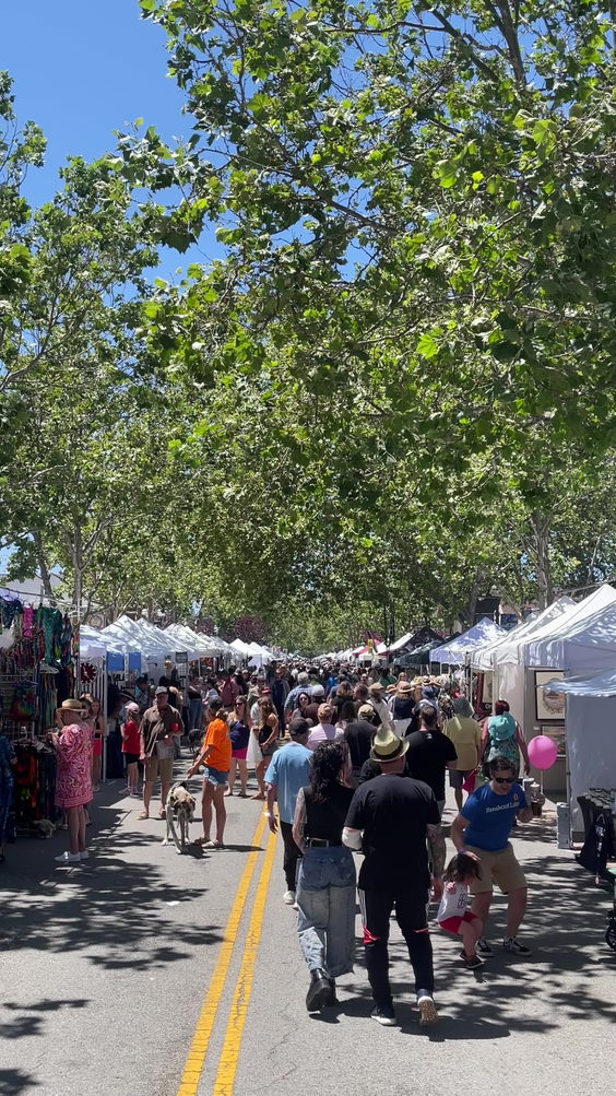 Novato Art, Wine & Music Festival
