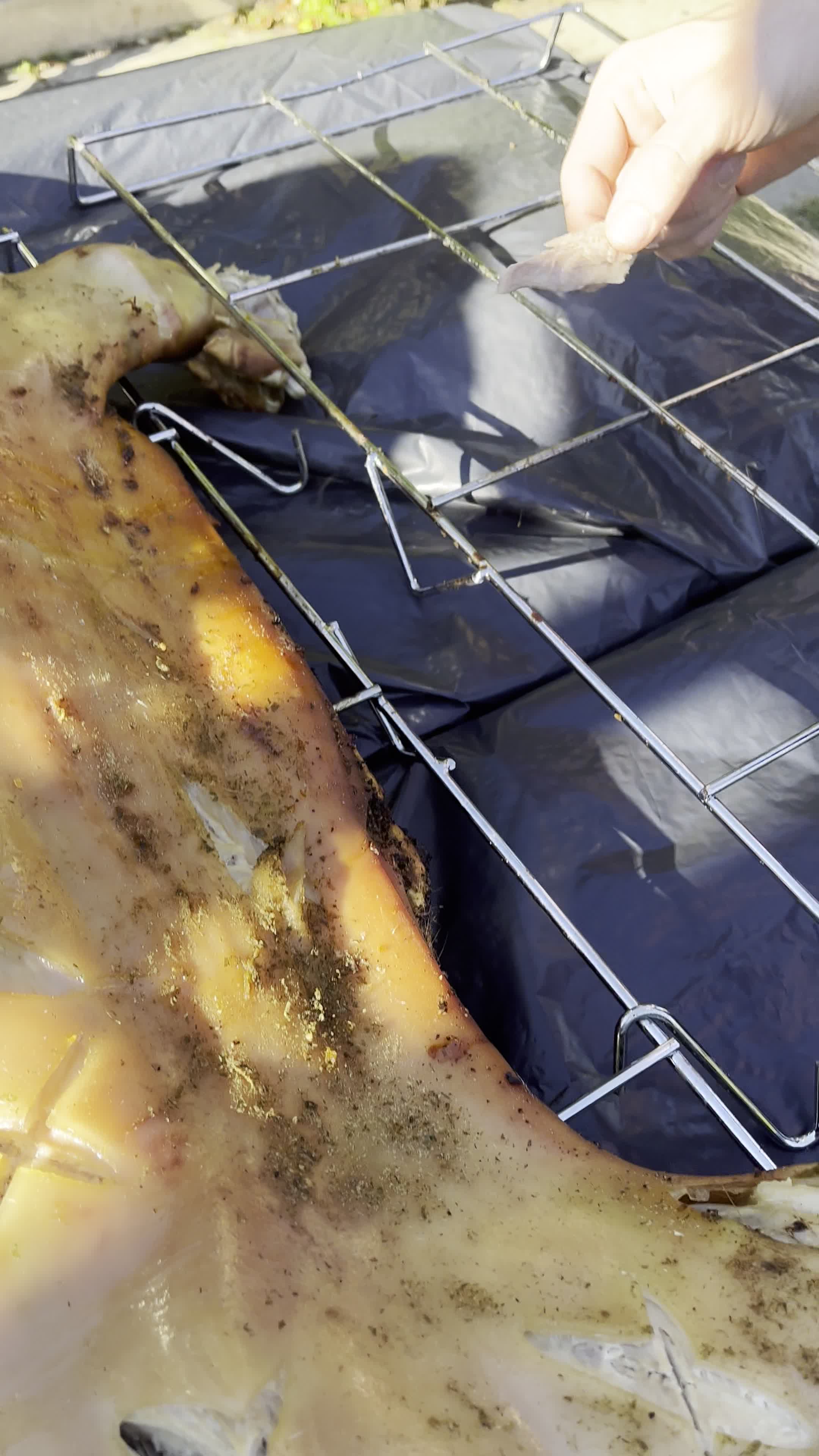 St. John Paul II Newman Center