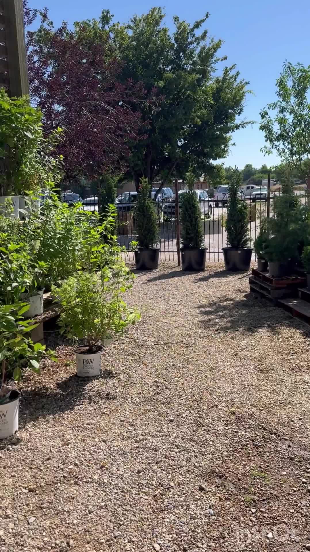 Victory Gardens