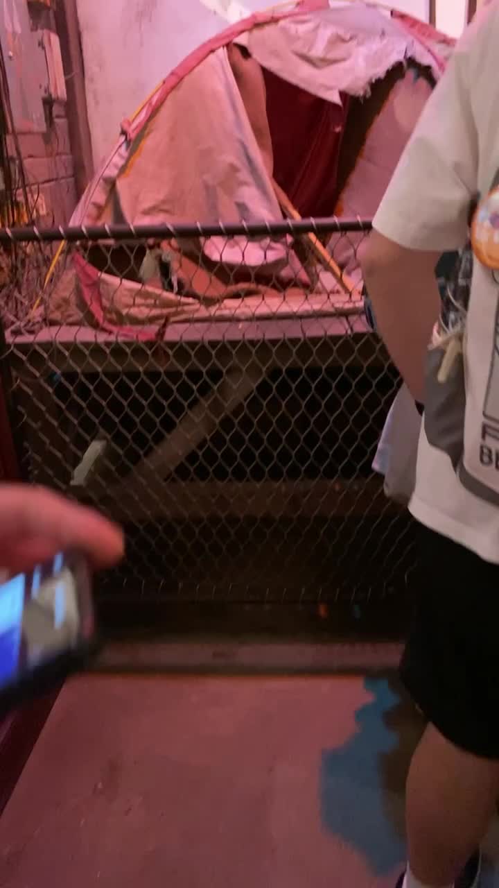 Disney's Animal Kingdom
