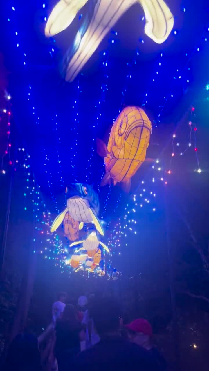 China Lights