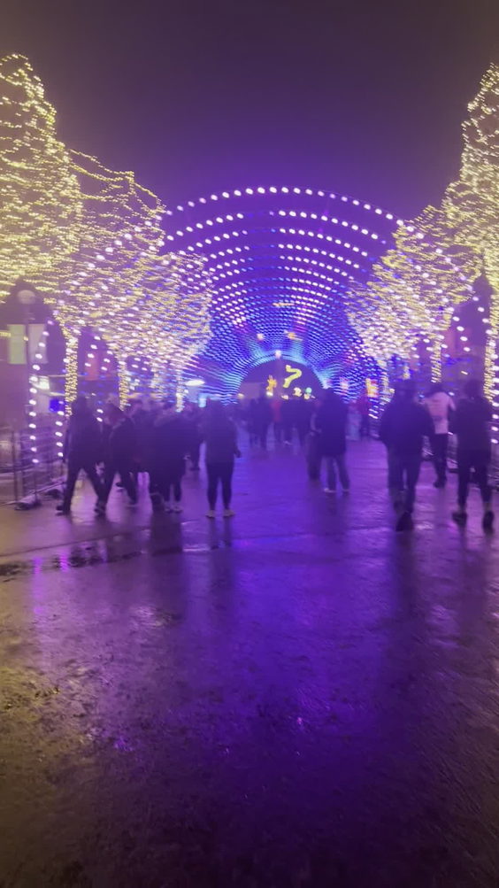 Lincoln Park Zoo Lights Festival