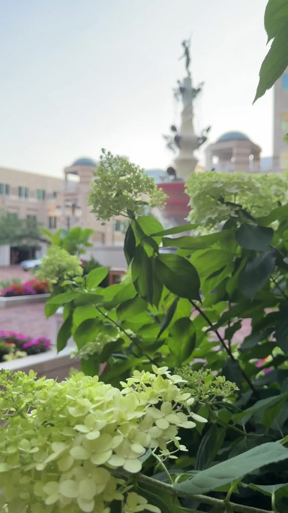 North Italia Reston