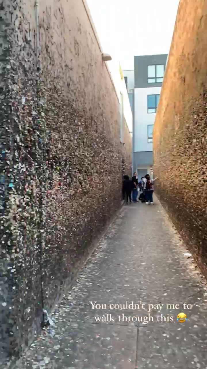 Video review of Bubblegum Alley