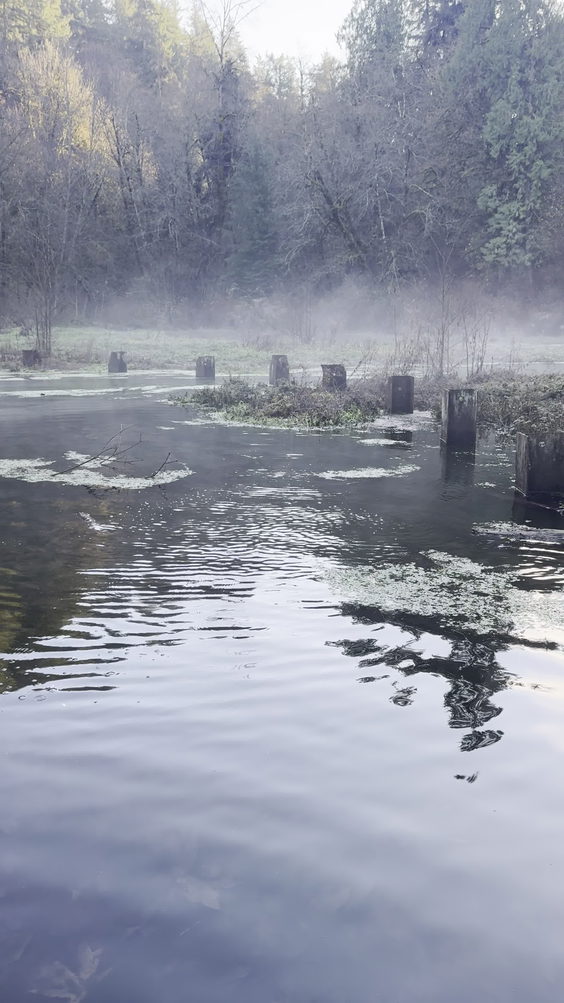 Clark's Creek Park