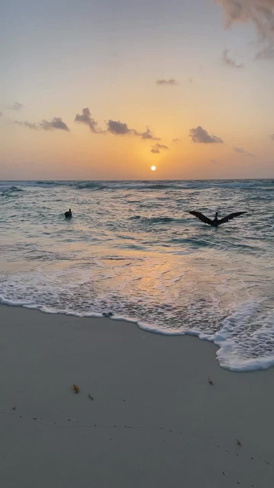 Grand Oasis Cancun All Inclusive