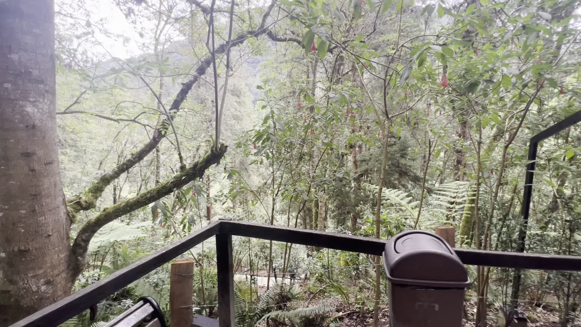 Termales Los Volcanes