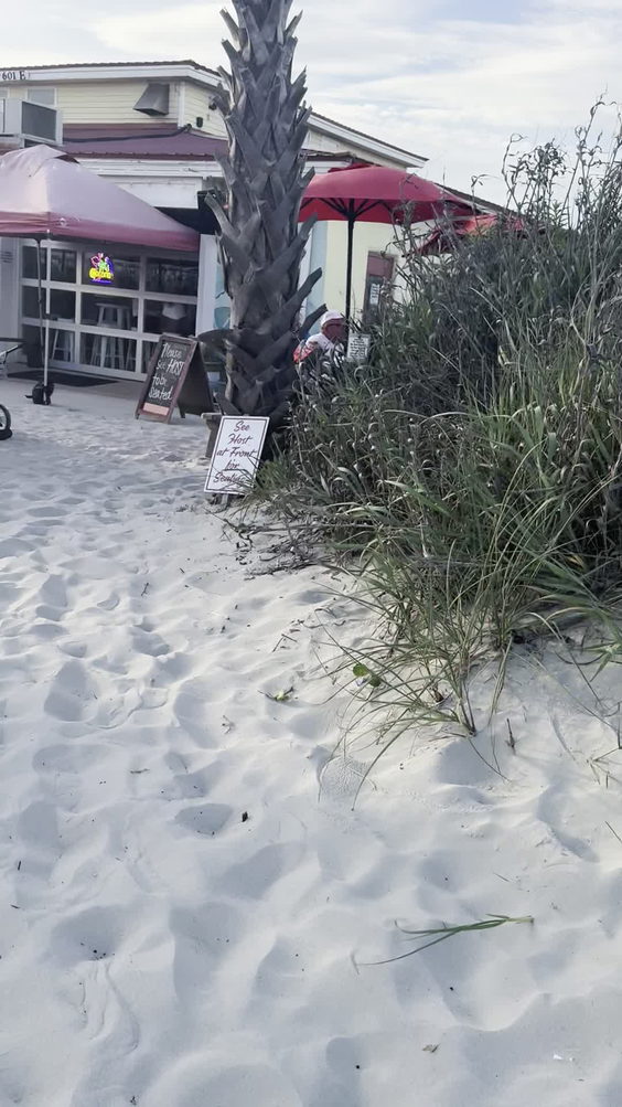Lazy Turtle Bar & Grill