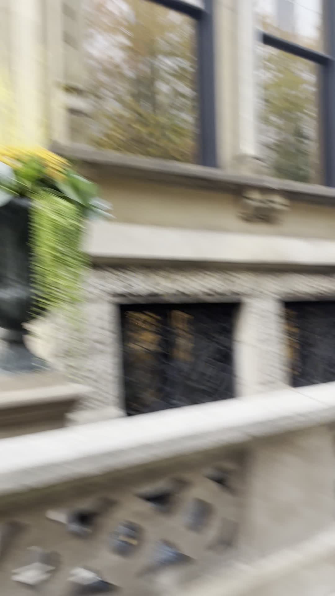 Video review of Richard H. Driehaus Museum