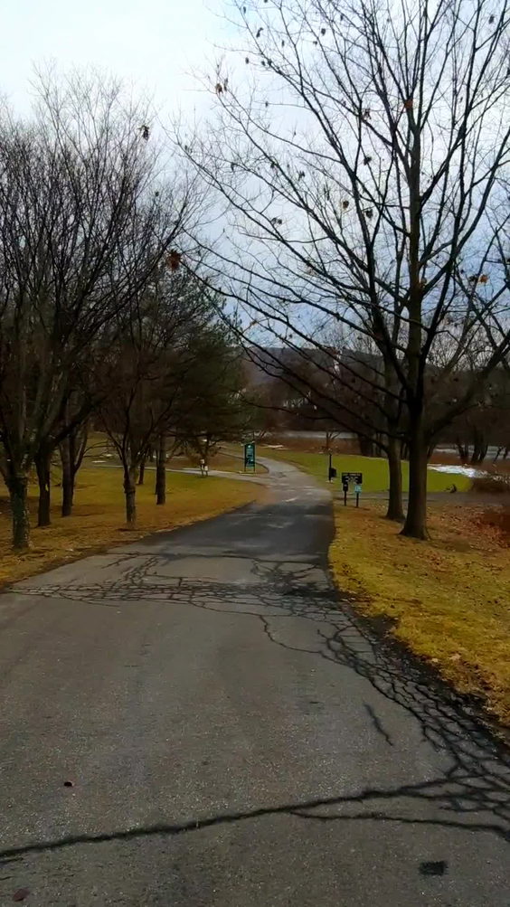 Otsiningo Park