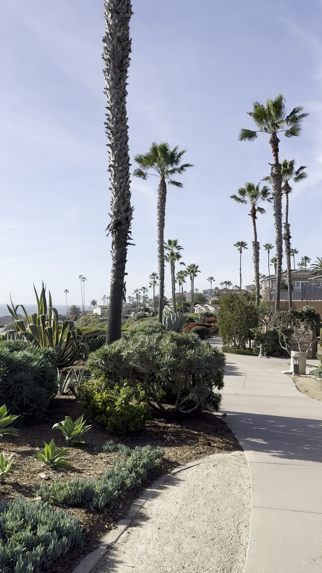 Video review of Treasure Island Beach