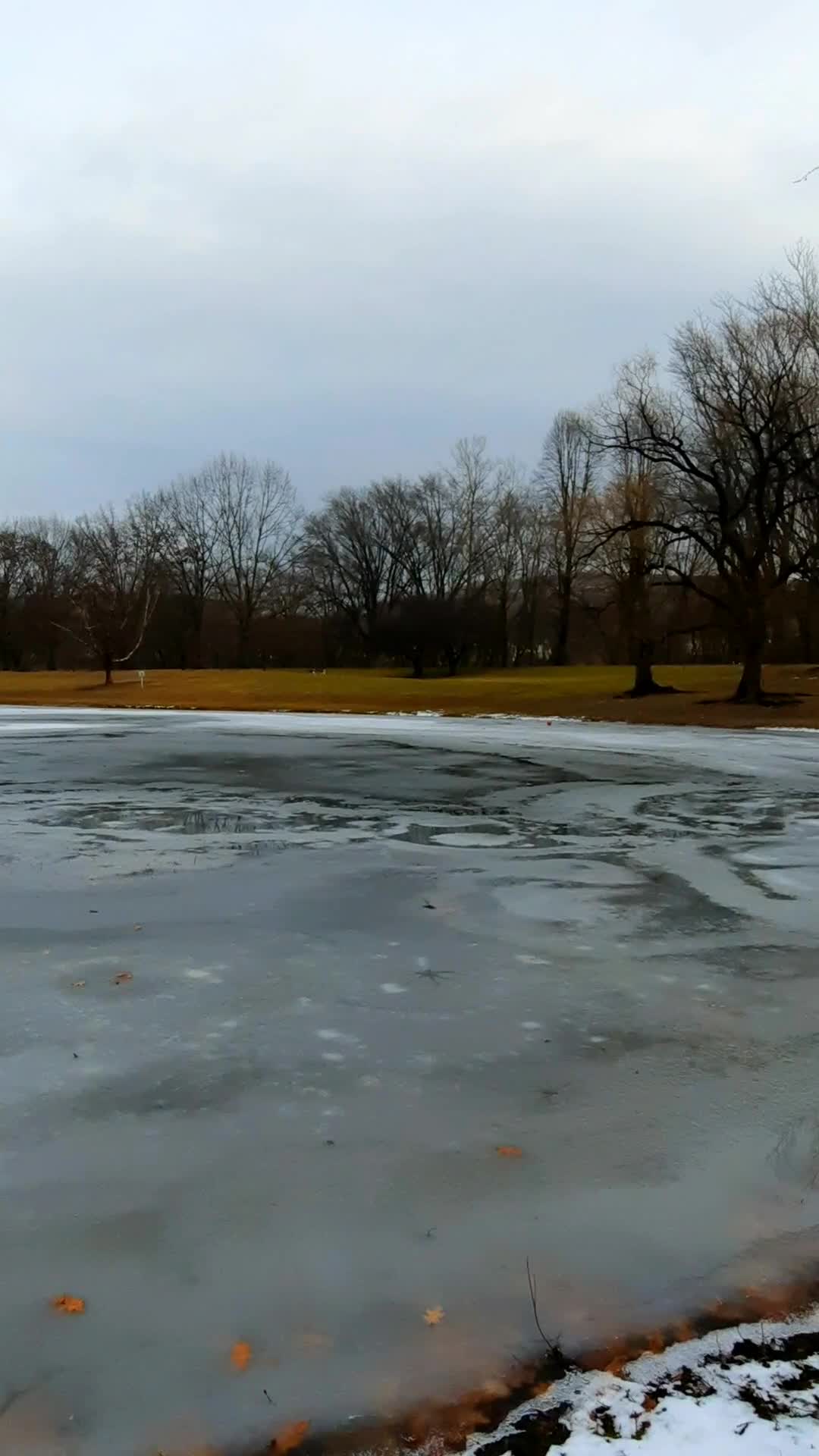 Otsiningo Park