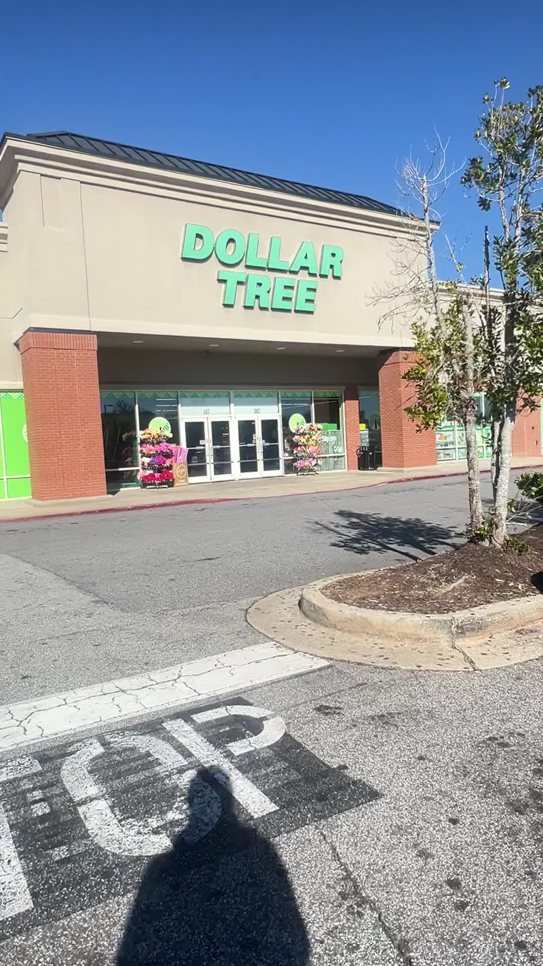 Video review of Dollar Tree