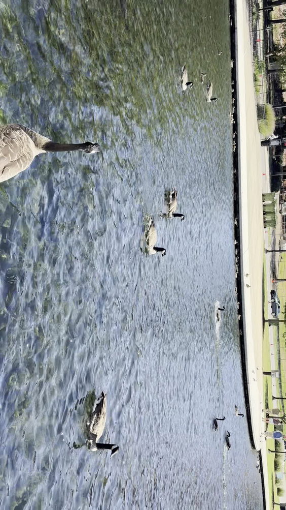 Big Spring Park