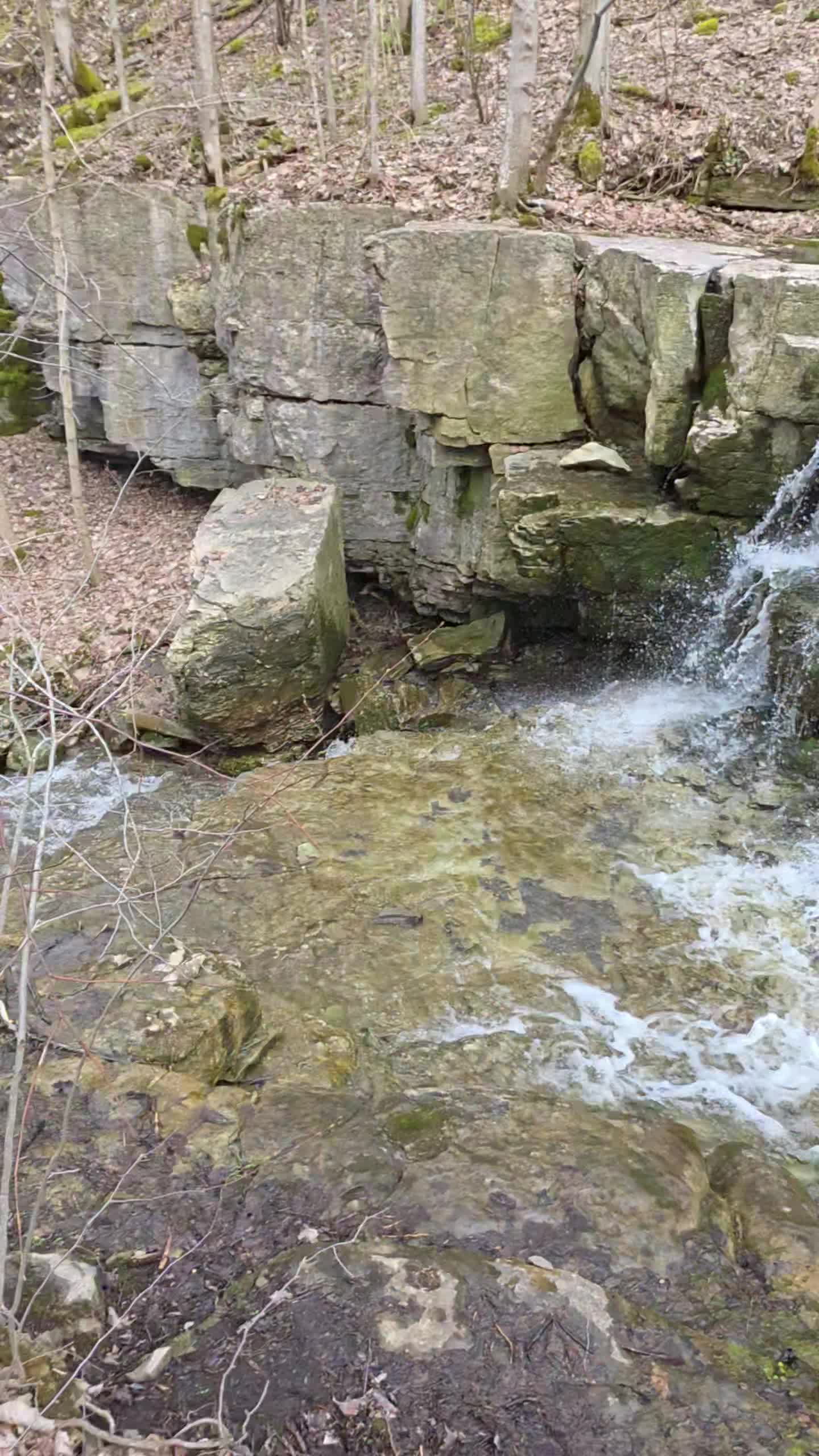 Three Falls Woods