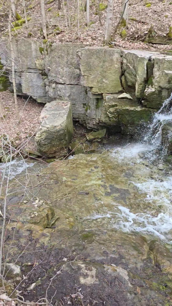Three Falls Woods