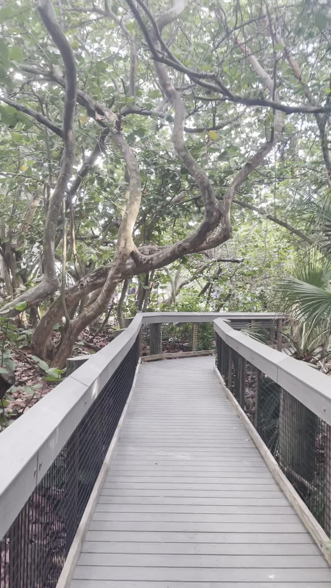 Sand Pine Park