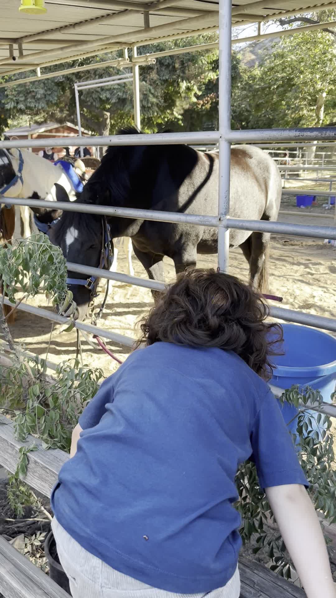 Video review of Irvine Park Railroad