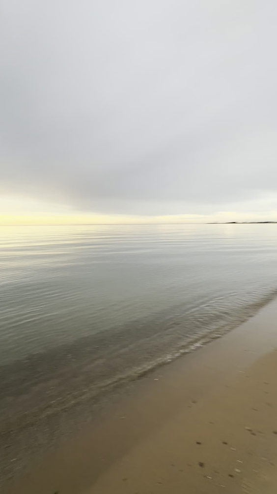 Zoo Beach