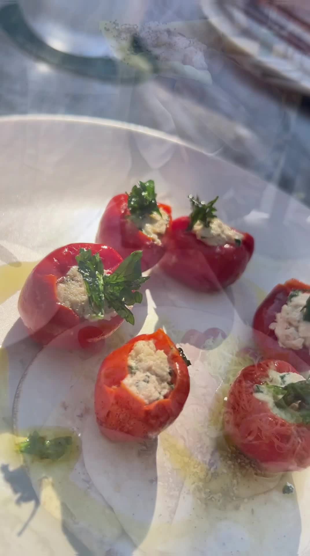 Video review of Marco Polo at Silver Lake Pool & Inn