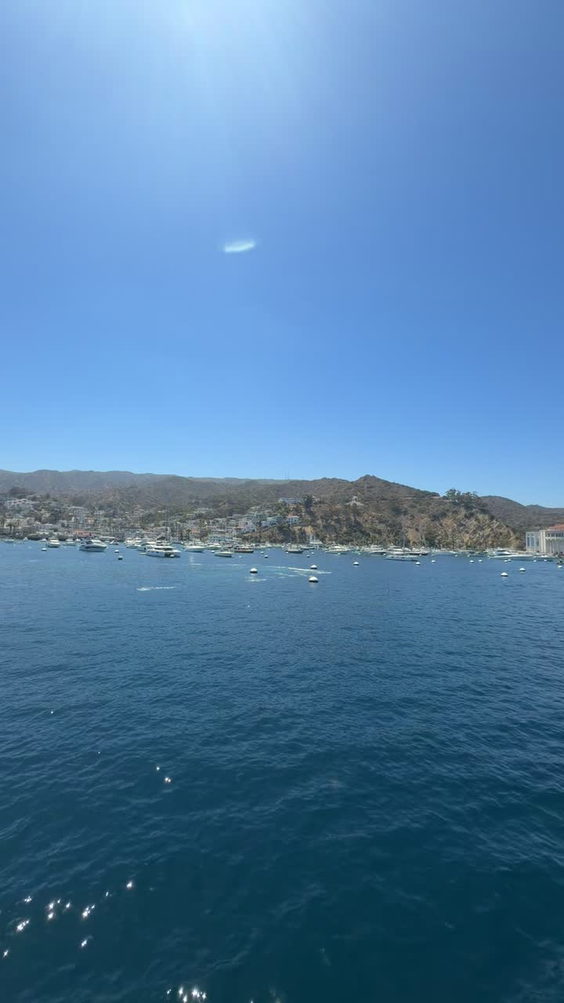 Belmont Veterans Memorial Pier
