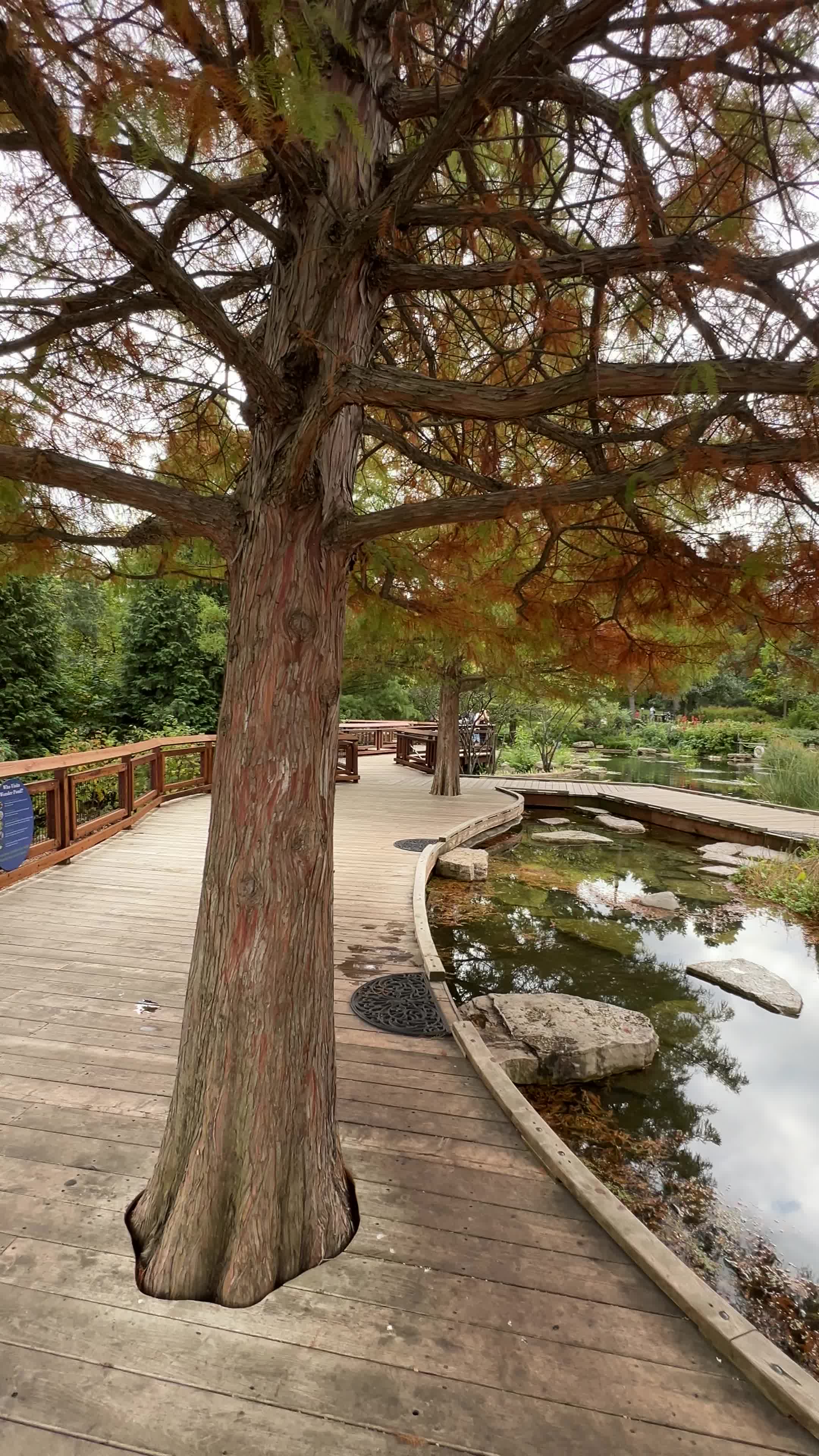 Morton Adventure Woods