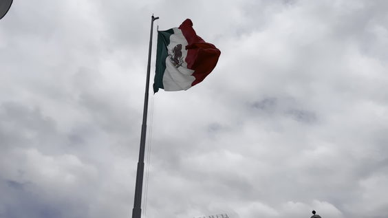 Parque de Bolsillo - Zócalo
