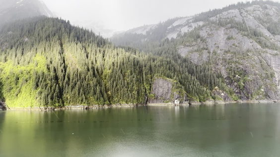 City Moment · Juneau